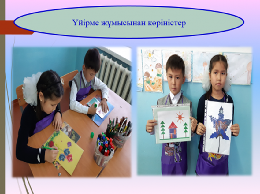 Үйірмелер мен секциялар туралы