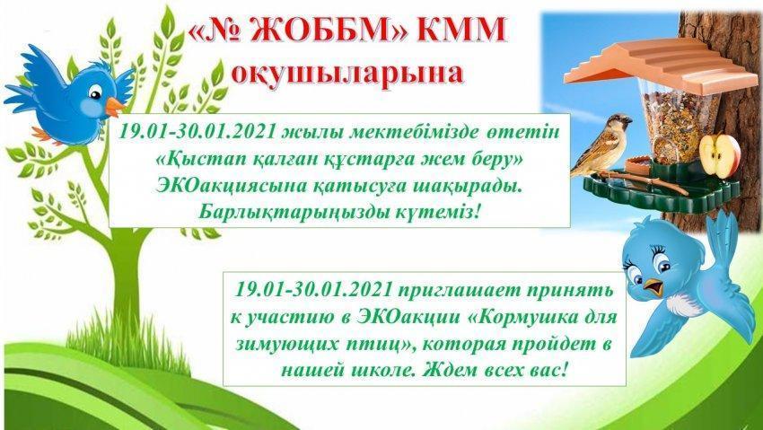 "Қыстап қалған құстарға жем беру" акциясы